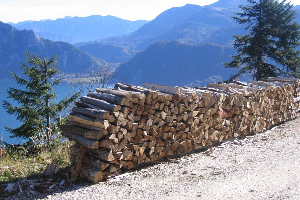© Steinegger/Biomasseverband
Es könnte mehr Holz sein, dass in Oberösterreich zur Energiewende eingesetzt wird. Es könnte mehr Holz sein, dass in Oberösterreich zur Energiewende eingesetzt wird.