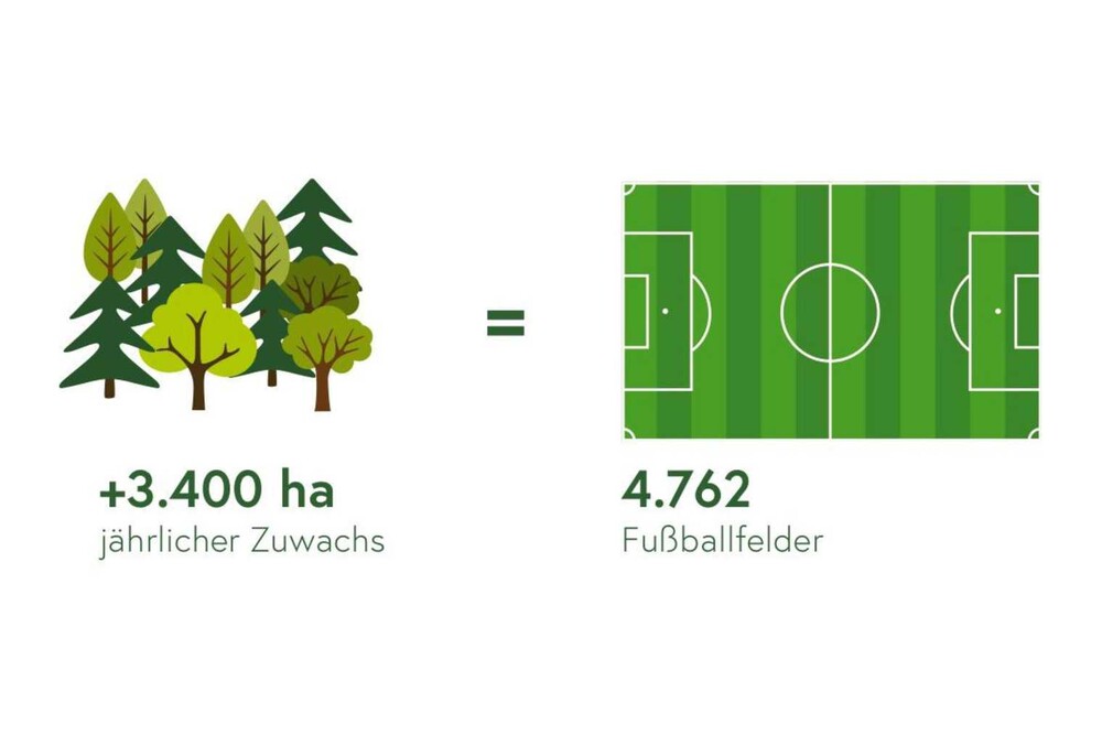 © Grafik: BMNT
Der Wald hat in den letzten zehn Jahren durchschnittlich um 3400 ha pro Jahr zugenommen – das entspricht 4762 Fußballfeldern. Der Wald hat in den letzten zehn Jahren durchschnittlich um 3400 ha pro Jahr zugenommen – das entspricht 4762 Fußballfeldern.