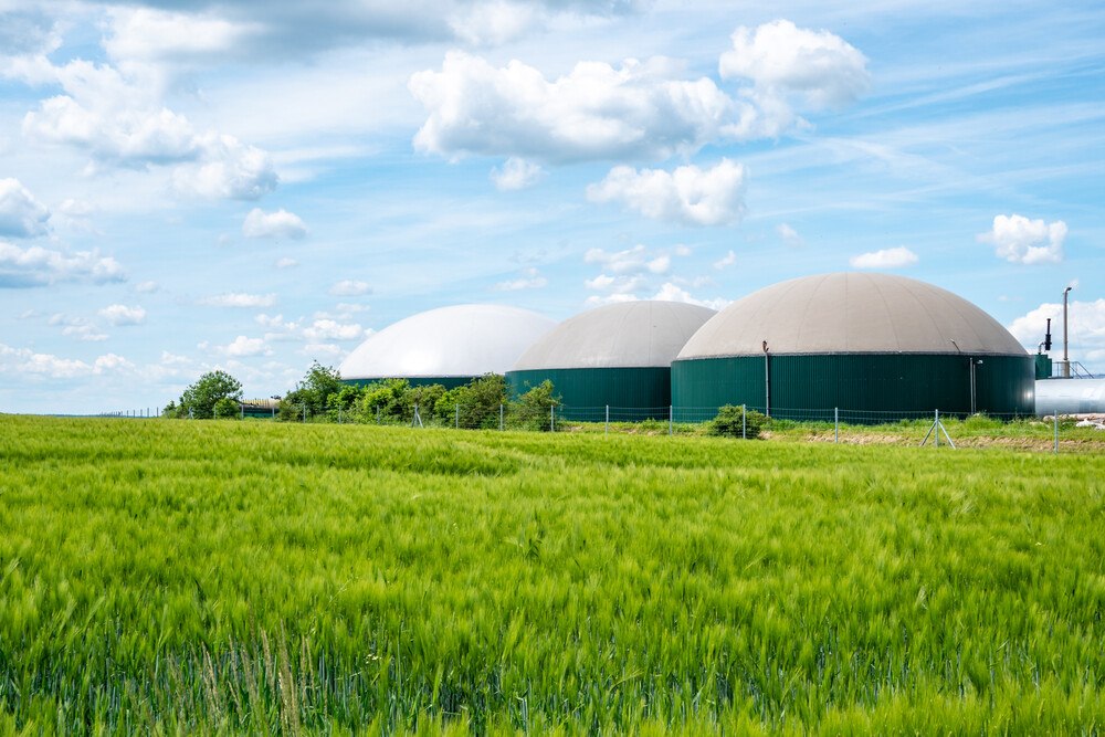 © GettyImages
Das Potenzial zur Herstellung von Grünem Gas ist in Österreich ausreichend vorhanden. Das Potenzial zur Herstellung von Grünem Gas ist in Österreich ausreichend vorhanden