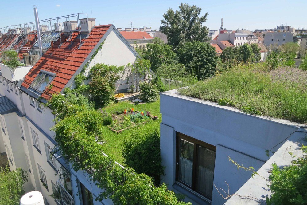 © Grünstattgrau/Gruchmann
Intensive Dachgärten in urbanen Räumen sorgen für mehr Grünfläche und Rückzugs-orte für die Bewohner*innen.
Intensive Dachgärten in urbanen Räumen sorgen für mehr Grünfläche und Rückzugs-orte für die Bewohner*innen.