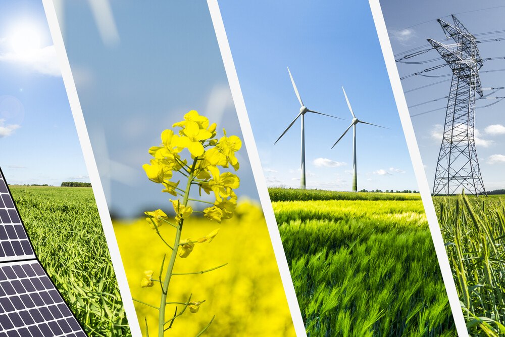 © GetYourPic/iStock/Getty Images Plus Bioenergie