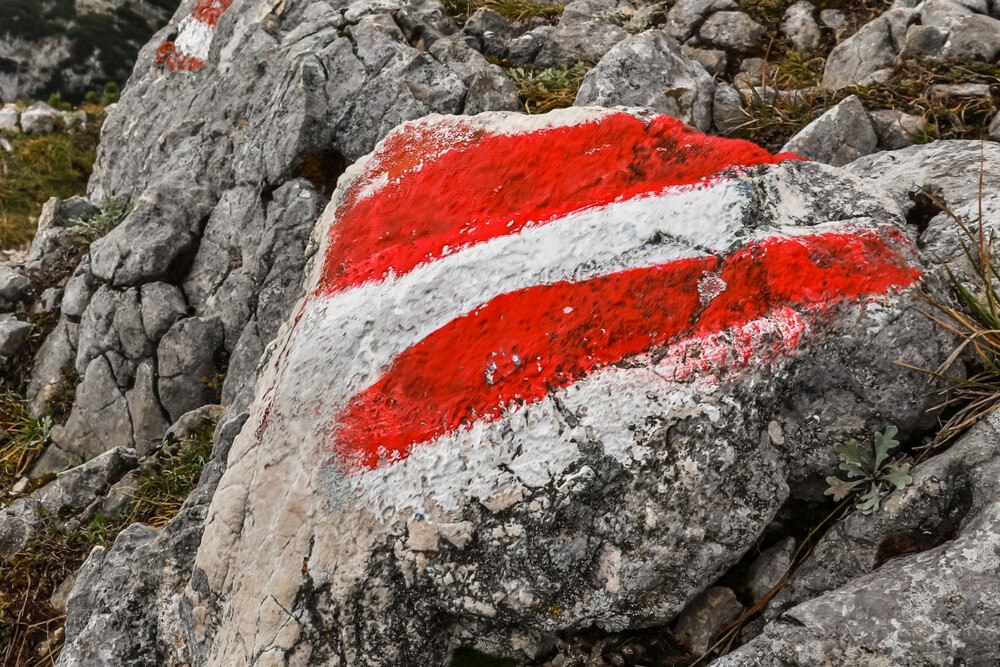 © Teka77/iStock/Getty Images Plus via Getty Images
Nach der zweiten Reform der Rot-Weiß-Rot-Karte stiegen die Ausstellungszahlen um rund 50 Prozent.
Nach der zweiten Reform der Rot-Weiß-Rot-Karte stiegen die Ausstellungszahlen um rund 50 Prozent.