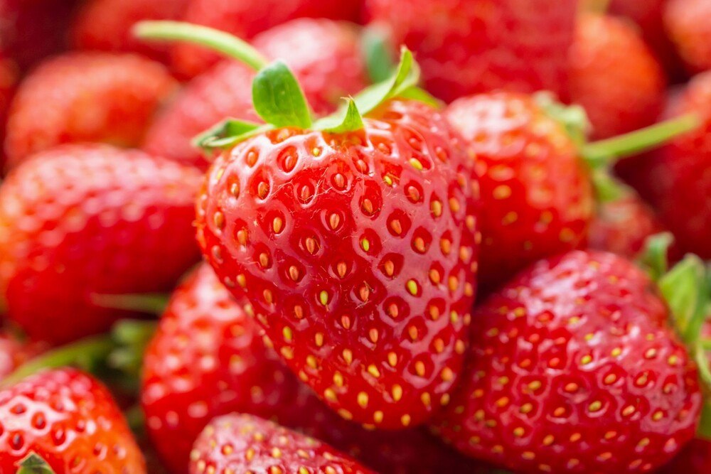 © iStock / Getty Images Plus / Kwangmoozaa Erdbeeren
