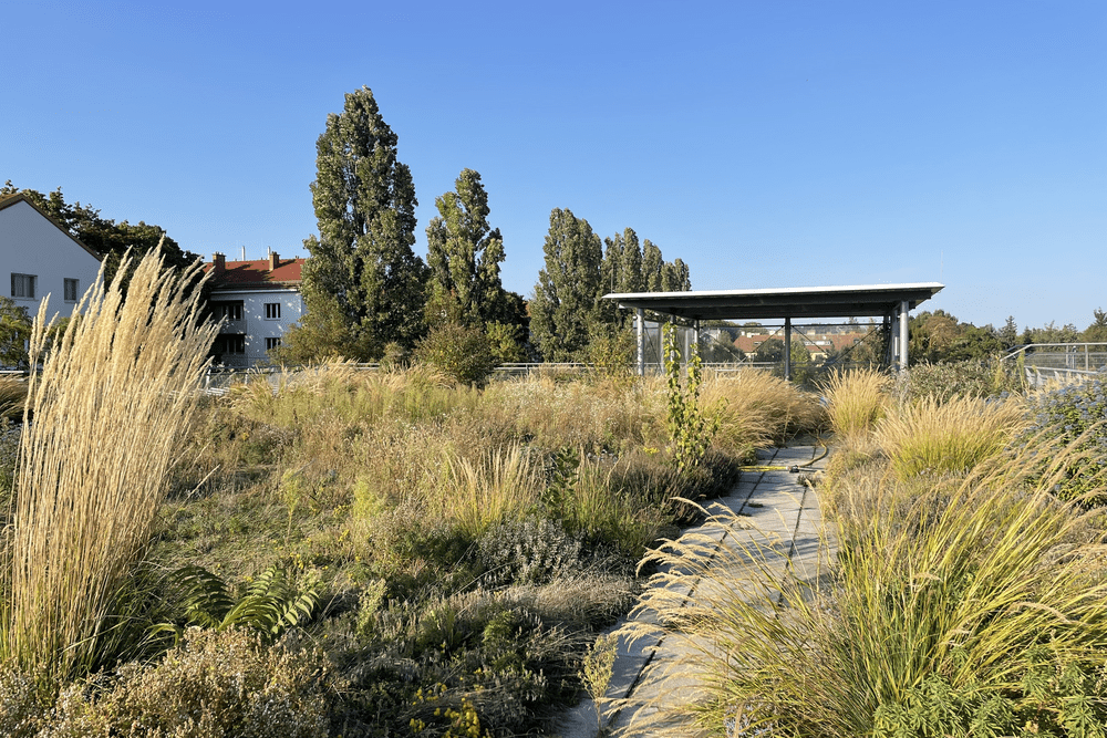 © Grünstattgrau
Bauwerksbegrünungen sind integrale Bestandteile zur Gebäudeoptimierung, zur Energieeinsparung und zur Förderung der Biodiversität.
Bauwerksbegrünungen sind integrale Bestandteile zur Gebäudeoptimierung, zur Energieeinsparung und zur Förderung der Biodiversität.