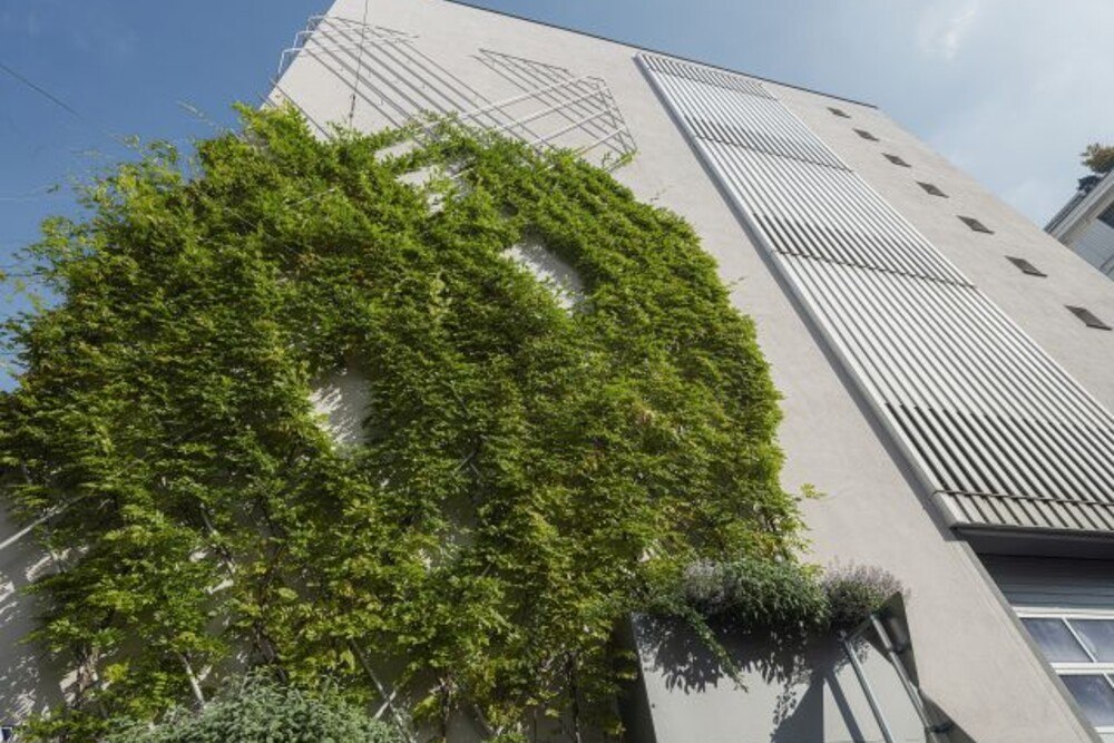 © Baumit Begrünte Fassade: Trend zur Nachhaltigkeit.