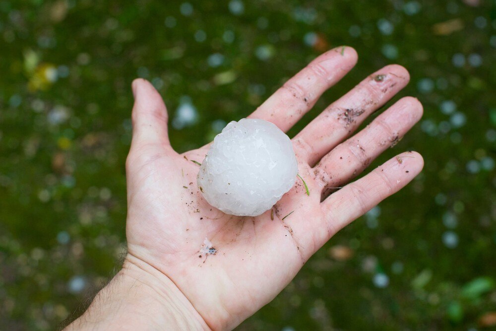 © iStock / Getty Images Plus / MarcelC
Der Klimawandel führt auch zu einer Zunahme von Extremwetterereignissen wie Hagel. Deshalb wurde nun die Hagelbeständigkeit von Gründachaufbauten und der darunter liegenden Dachabdichtungen produktneutral getestet.
Der Klimawandel führt auch zu einer Zunahme von Extremwetterereignissen wie Hagel. Deshalb wurde nun die Hagelbeständigkeit von Gründachaufbauten und der darunter liegenden Dachabdichtungen produktneutral getestet.