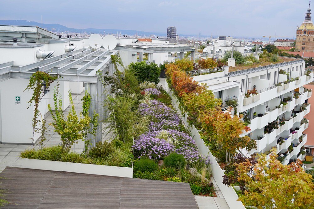 © Grünstattgrau
Biotop City am Wienerberg ist Vorreiterin für eine klimaresiliente, grüne und naturinklusive Stadt, die ihren Bewohner*innen leistbare und hohe Lebensqualität bietet.
Biotop City am Wienerberg ist Vorreiterin für eine klimaresiliente, grüne und naturinklusive Stadt, die ihren Bewohner*innen leistbare und hohe Lebensqualität bietet.