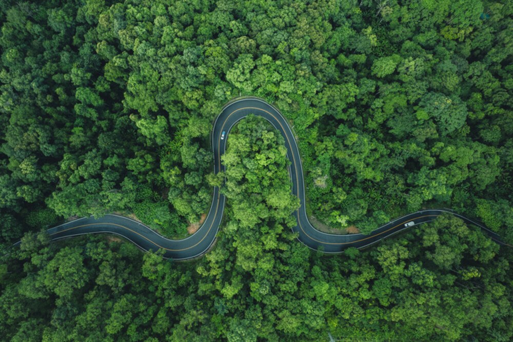 © iStock / Getty Images Plus / ArtRachen01
Fachtagung Verum: Grüner Verkehr und E-Mobility als Thema.
Blick aus der Vogelperspektive auf eine kurvenreiche Straße im grünen Wald