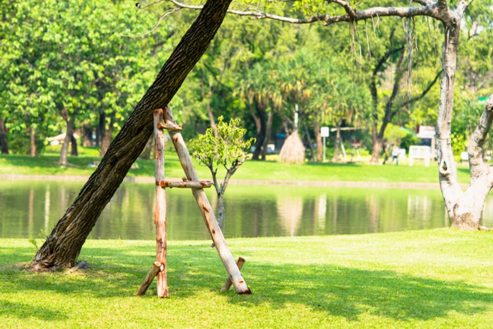 © jaturonoofer iStock Getty Images Plus Baum mit Stütze