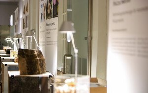 Rohstoffe in der Ausstellung