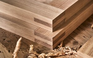 amerikanische Rot-Eiche