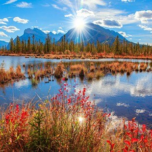 © kavram / iStock / Getty Images Plus / via Getty Images   Export nach Kanada