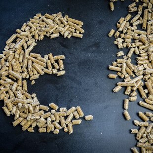 © sebastianosecondi/	iStock / Getty Images Plus Pellets