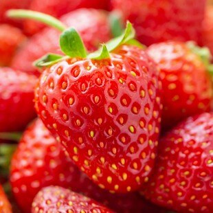 © iStock / Getty Images Plus / Kwangmoozaa Erdbeeren
