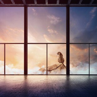 © Pilkington "Pilkington Mirai" ist eine kohlenstoffarme Alternative zu konventionellem Floatglas.