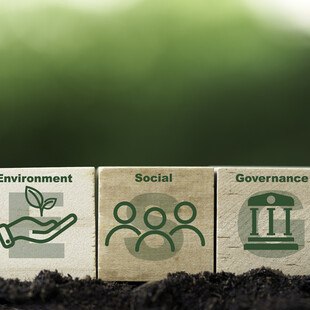© Dilok Klaisataporn iStock Getty Images Plus ESG Kriterien