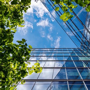 © Getty Images 1491279627 c jarama Bäume vor einer Glasfassade eines Hochhauses
