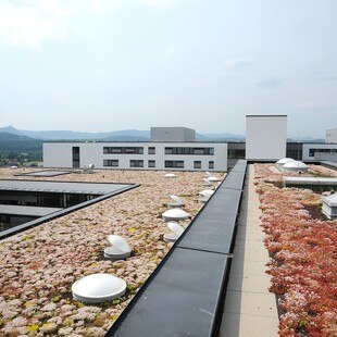 © Bauder Wasserrückhaltung und Abflussverzögerung: Die Vorteile eines Retentionsdaches gewinnen immer mehr an Bedeutung.