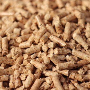 © springtime78 / iStock / Getty Images Plus Pellets