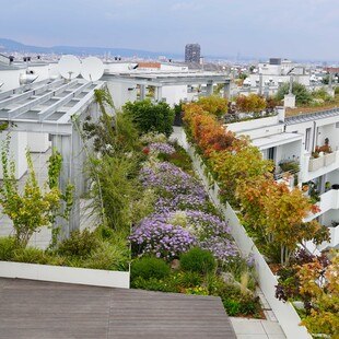 © Grünstattgrau Biotop City am Wienerberg ist Vorreiterin für eine klimaresiliente, grüne und naturinklusive Stadt, die ihren Bewohner*innen leistbare und hohe Lebensqualität bietet.