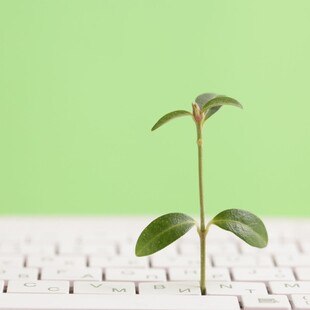 © iStock / Getty Images Plus / Liliya Filakhtova Nachhaltigkeit Unternehmen