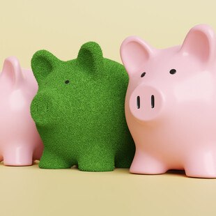 © Dragon Claws iStock / Getty Images Plus Grünes Sparschwein zwischen zwei Pinken