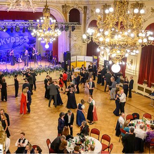 © City Foto Tischlerball 2025