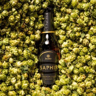 © Christoph Kerschbaum Bierflasche von Zwettler Saphir liegt auf Hopfenblüten.