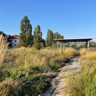 © Grünstattgrau Im Fokus des dritten Österreichischen Dachtages steht das Gründach.